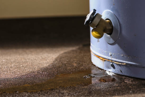 Best 24/7 water damage repair  in Alum Creek, WV