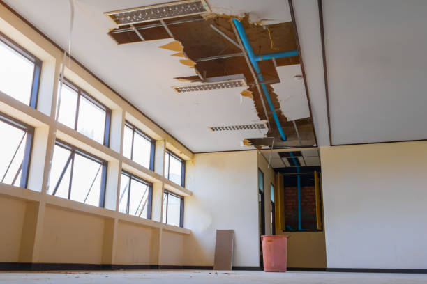 Best Fire Damage Restoration  in Alum Creek, WV