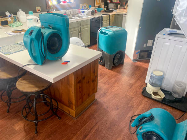 Best Local water damage restoration  in Alum Creek, WV