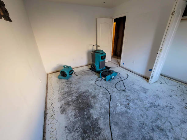 Best Residential water damage restoration  in Alum Creek, WV
