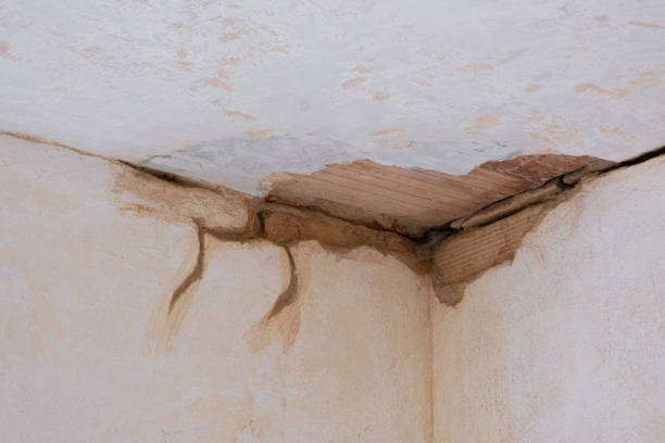 Best Water damage restoration near me  in Alum Creek, WV