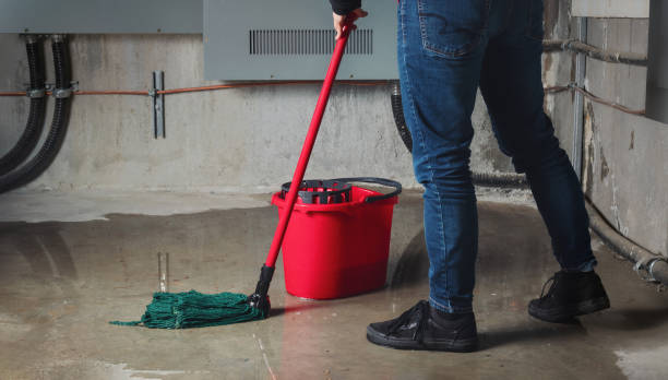Best Water damage contractors near me  in Alum Creek, WV