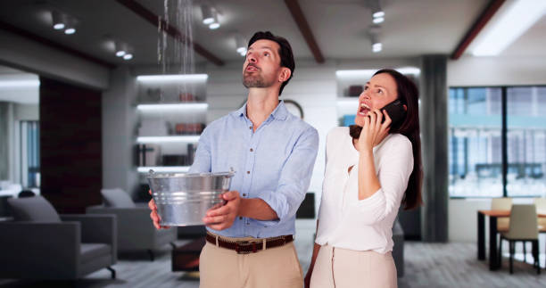 Best Water damage cleanup near me  in Alum Creek, WV