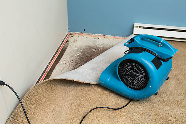 Best Ceiling water damage repair  in Alum Creek, WV